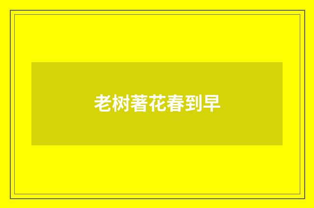 老树著花春到早