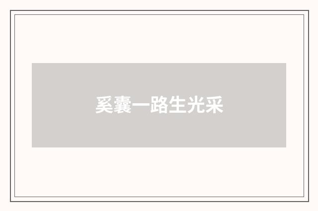 奚囊一路生光采