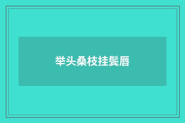 举头桑枝挂鬓唇