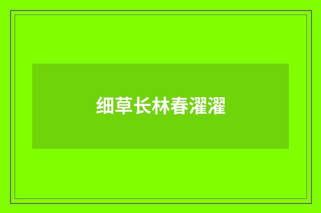 细草长林春濯濯