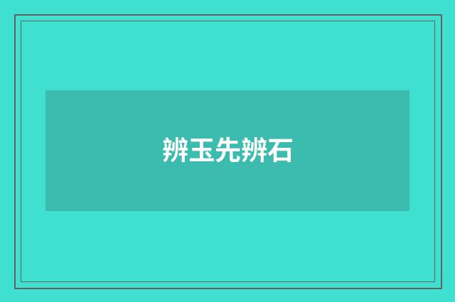 辨玉先辨石