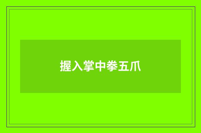 握入掌中拳五爪