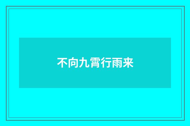 不向九霄行雨来