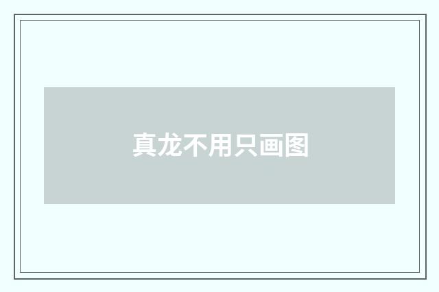 真龙不用只画图