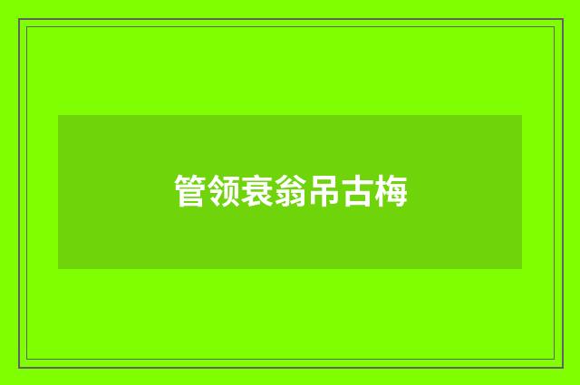 管领衰翁吊古梅