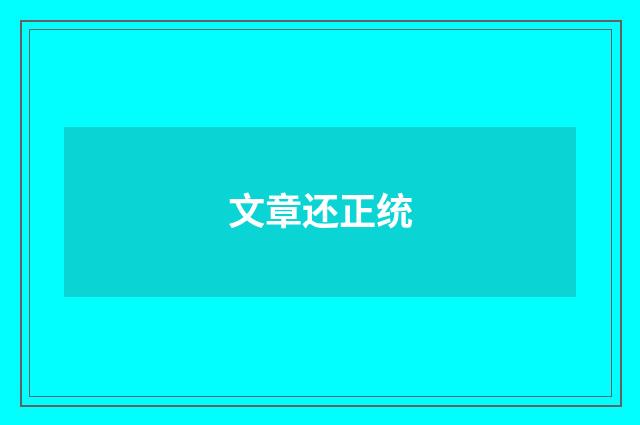 文章还正统