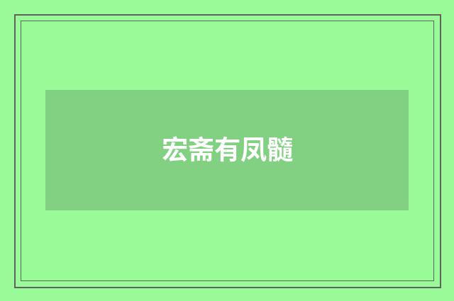 宏斋有凤髓