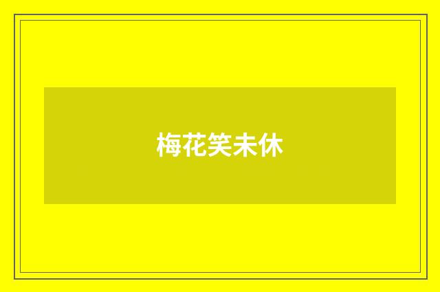梅花笑未休