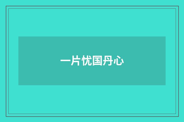 一片忧国丹心