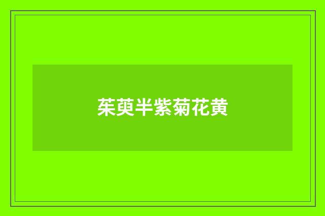 茱萸半紫菊花黄