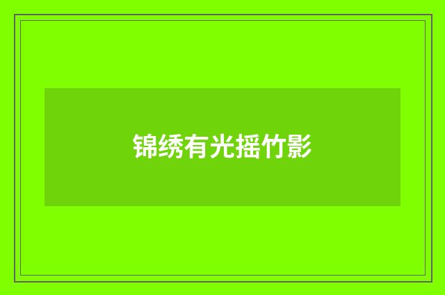 锦绣有光摇竹影