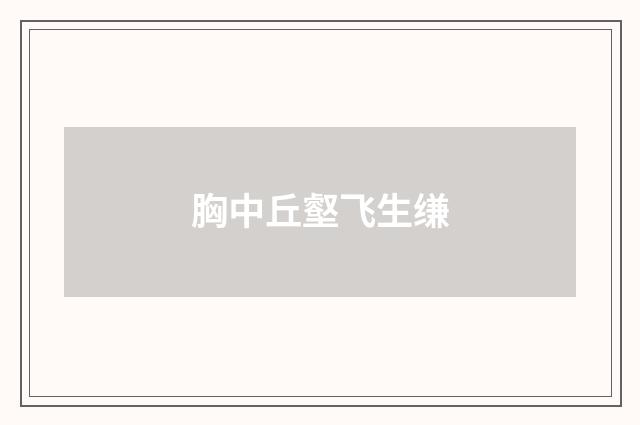 胸中丘壑飞生缣