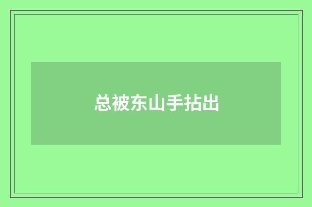 总被东山手拈出