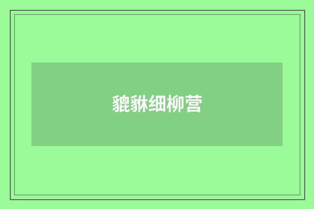 貔貅细柳营