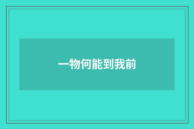 一物何能到我前