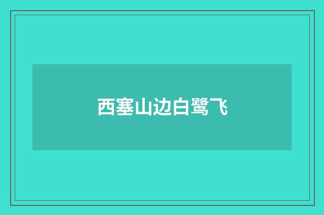 西塞山边白鹭飞