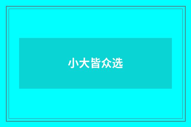 小大皆众选