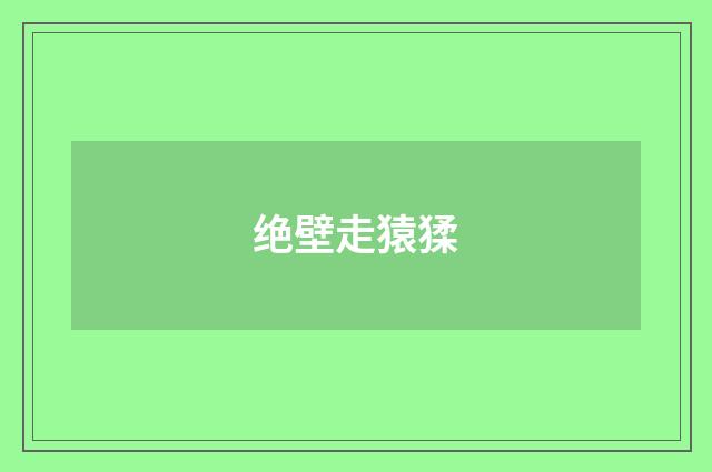 绝壁走猿猱