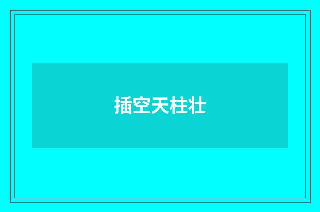 插空天柱壮