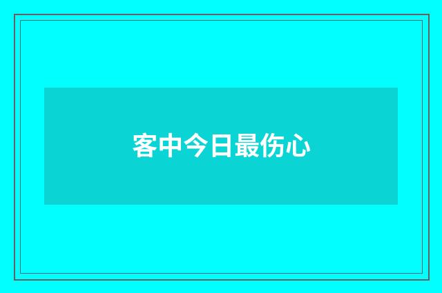 客中今日最伤心