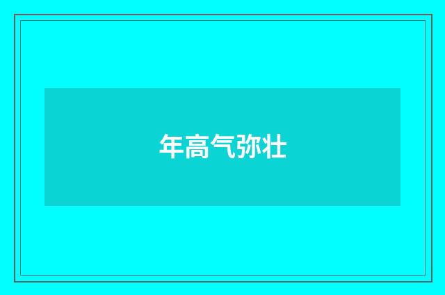 年高气弥壮