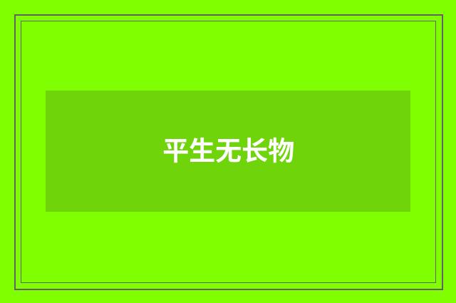 平生无长物