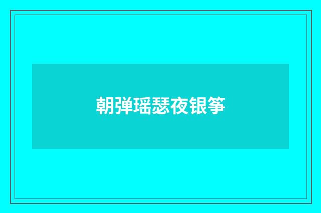 朝弹瑶瑟夜银筝