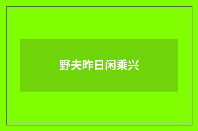 野夫昨日闲乘兴