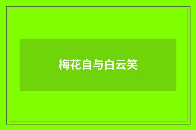 梅花自与白云笑