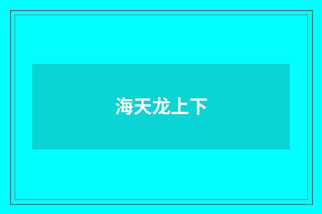 海天龙上下