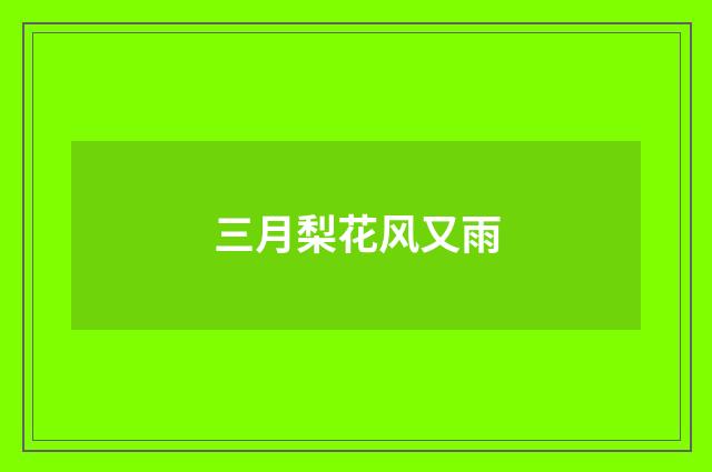 三月梨花风又雨