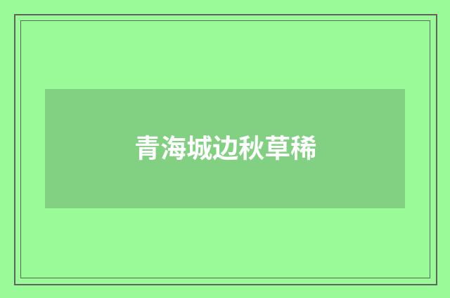 青海城边秋草稀