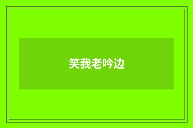 笑我老吟边