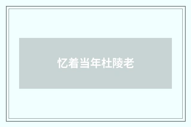 忆着当年杜陵老