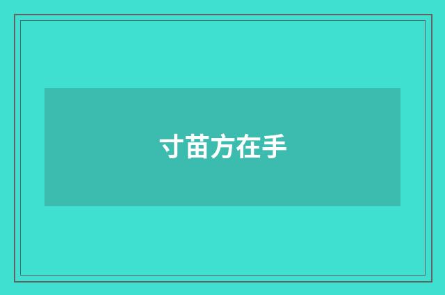 寸苗方在手