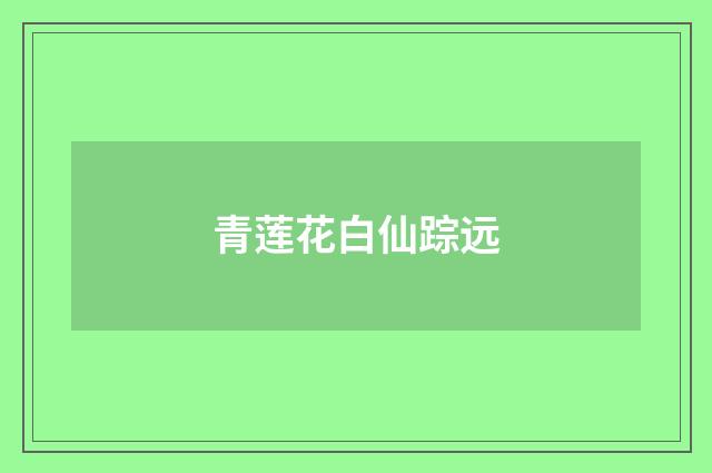 青莲花白仙踪远