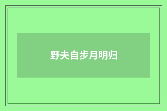 野夫自步月明归