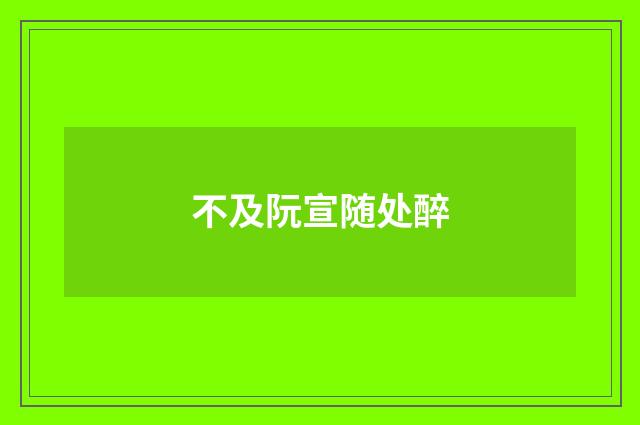 不及阮宣随处醉