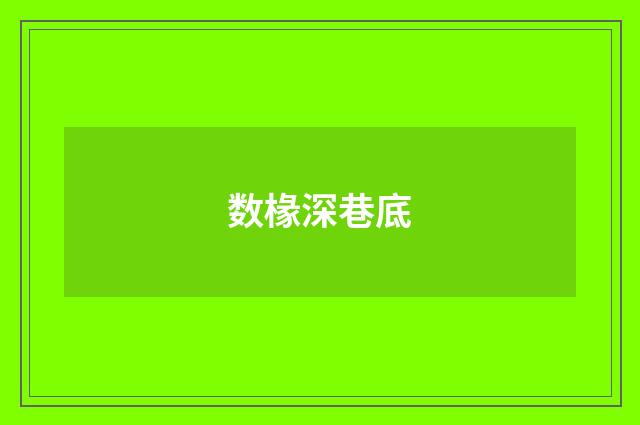 数椽深巷底