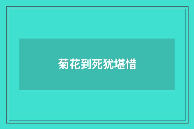 菊花到死犹堪惜