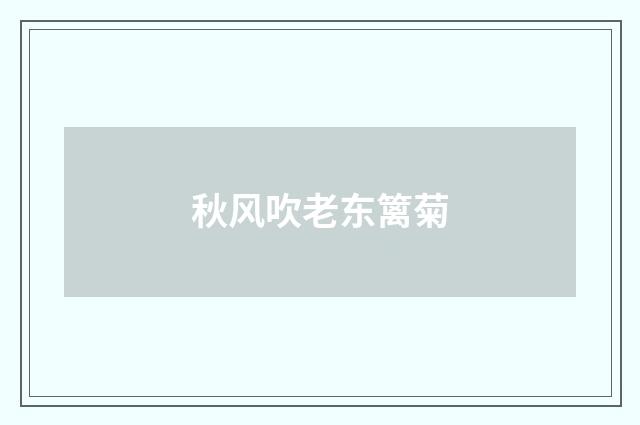 秋风吹老东篱菊