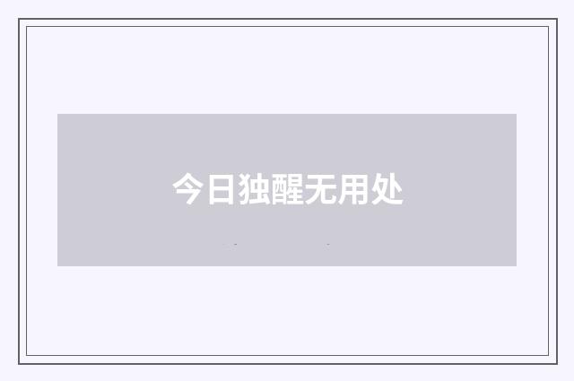 今日独醒无用处