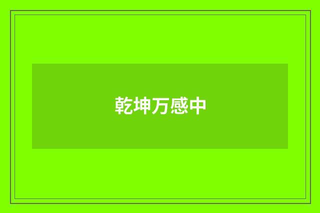 乾坤万感中