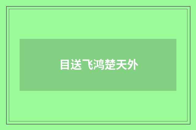 目送飞鸿楚天外