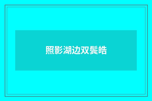 照影湖边双鬓皓