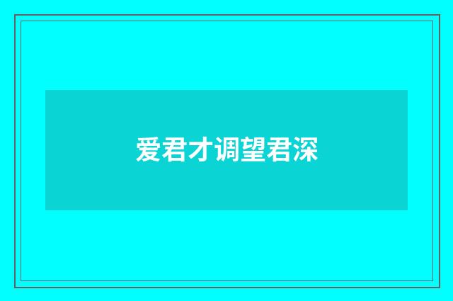 爱君才调望君深