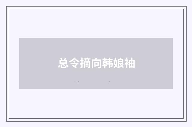 总令摘向韩娘袖