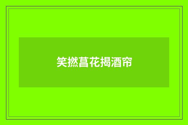 笑撚菖花揭酒帘