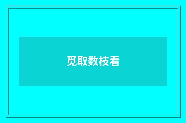 觅取数枝看