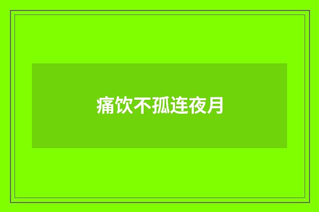 痛饮不孤连夜月